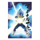 Poster 3d 58x38cm universe survival vegeta dragon ball super